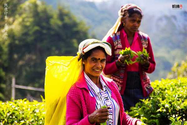 斯里兰卡正式推出数字游民签证,吸引远程专业人士长期居留