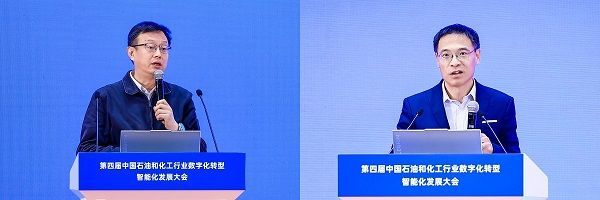 全国政协委员朱鼎健：建议系统构建海南旅游数字资产发展机制