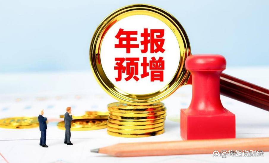 净利下降近四成，10亿扩产遇资金承压，赛恩斯双主业战略遇考