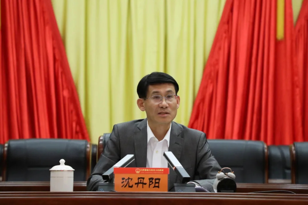 沈丹阳：只要把各种有利条件用好用足 完全可以争取更好发展结果