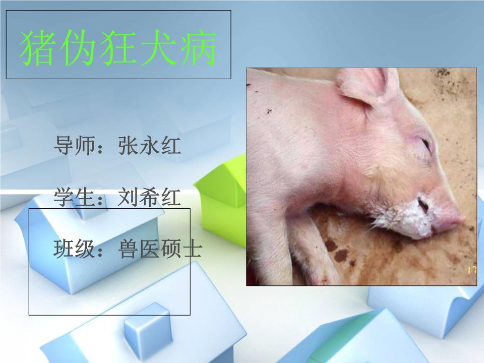 一滴血快速鉴别是否心梗