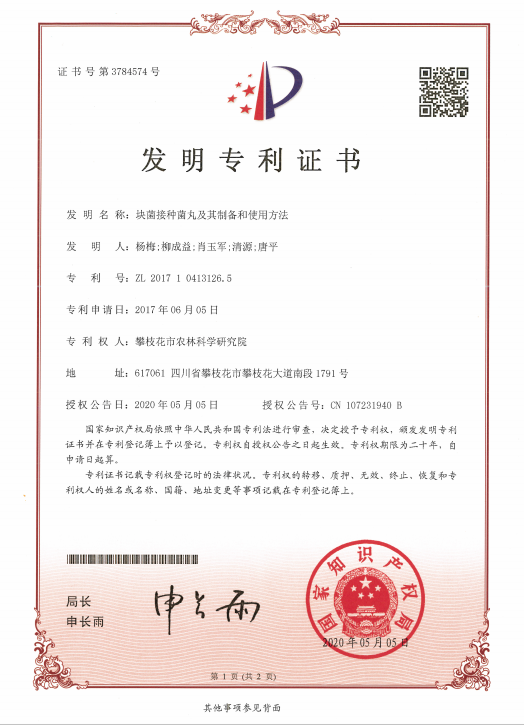 中国电信获得发明专利授权：“通信路径建立方法和装置、计算机程序产品、电子设备”