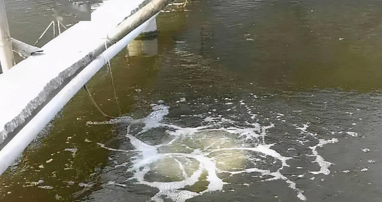 【涨知识】无安全，不“养虾”！