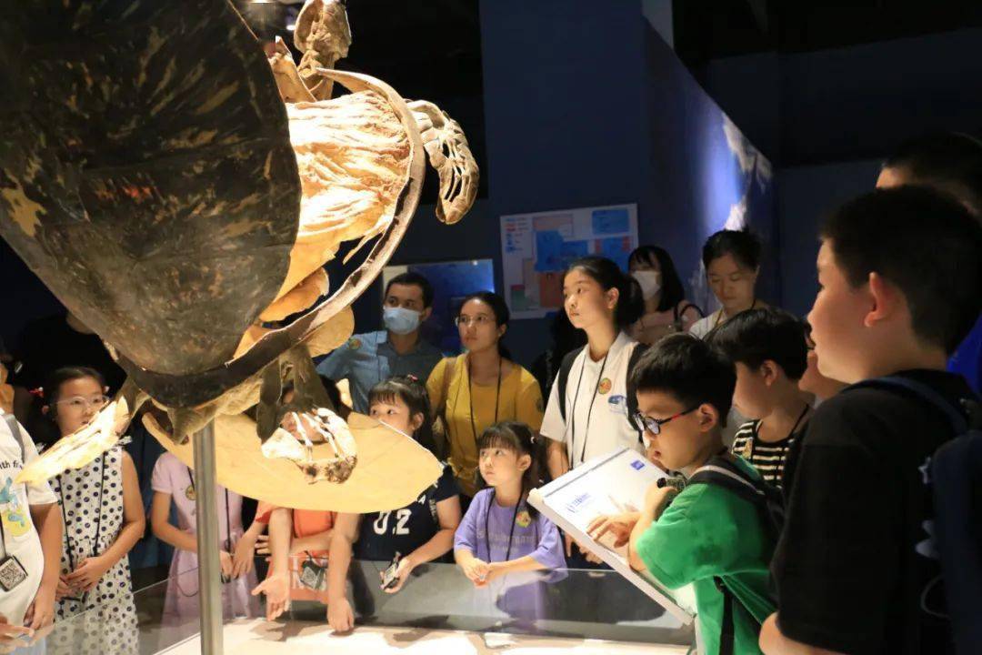 “我做了一年多智能体科普，还比不上龙虾一夜火爆！”关于龙虾的一切，周鸿祎这么看→