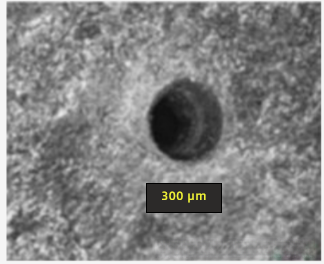 硅藻微米机器人精准“狙击”脑胶质瘤