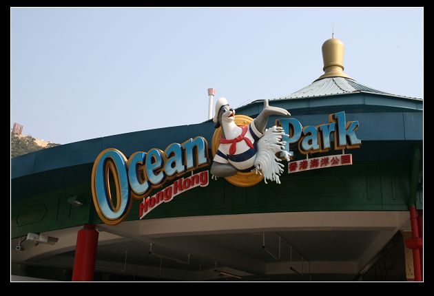 大地海洋盘中创历史新高