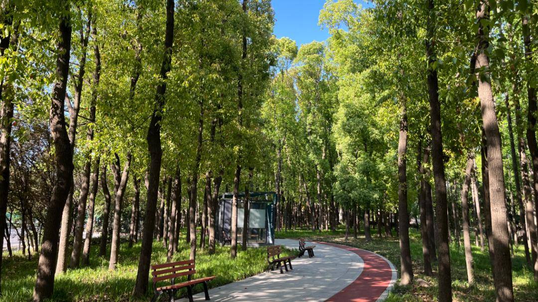 天能集团成功发行绿色科创债 为民营企业首单在银行间市场定向发行“双贴标”公司债