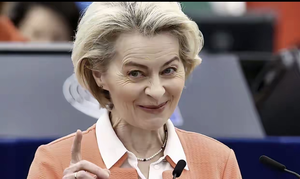 冯德莱恩称，欧盟必须“拆除壁垒”成为“全球巨人”