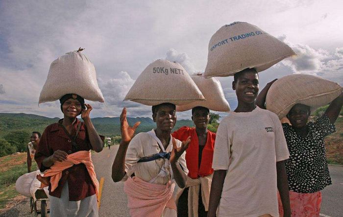 津巴布韦推动矿产加工 非洲资源政策转向