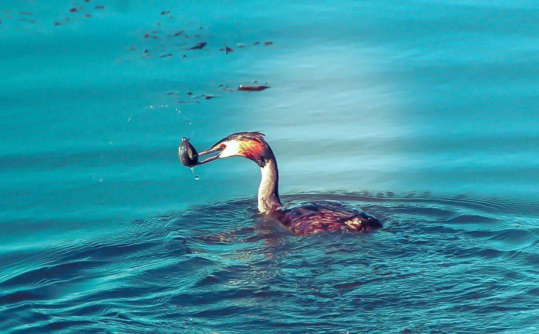 美丽生态：被债权人申请庭外重组事项相关申请获得受理