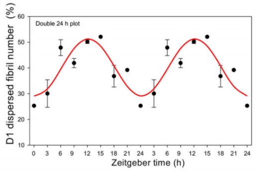 中国科学家揭秘疼痛的昼夜波动密码