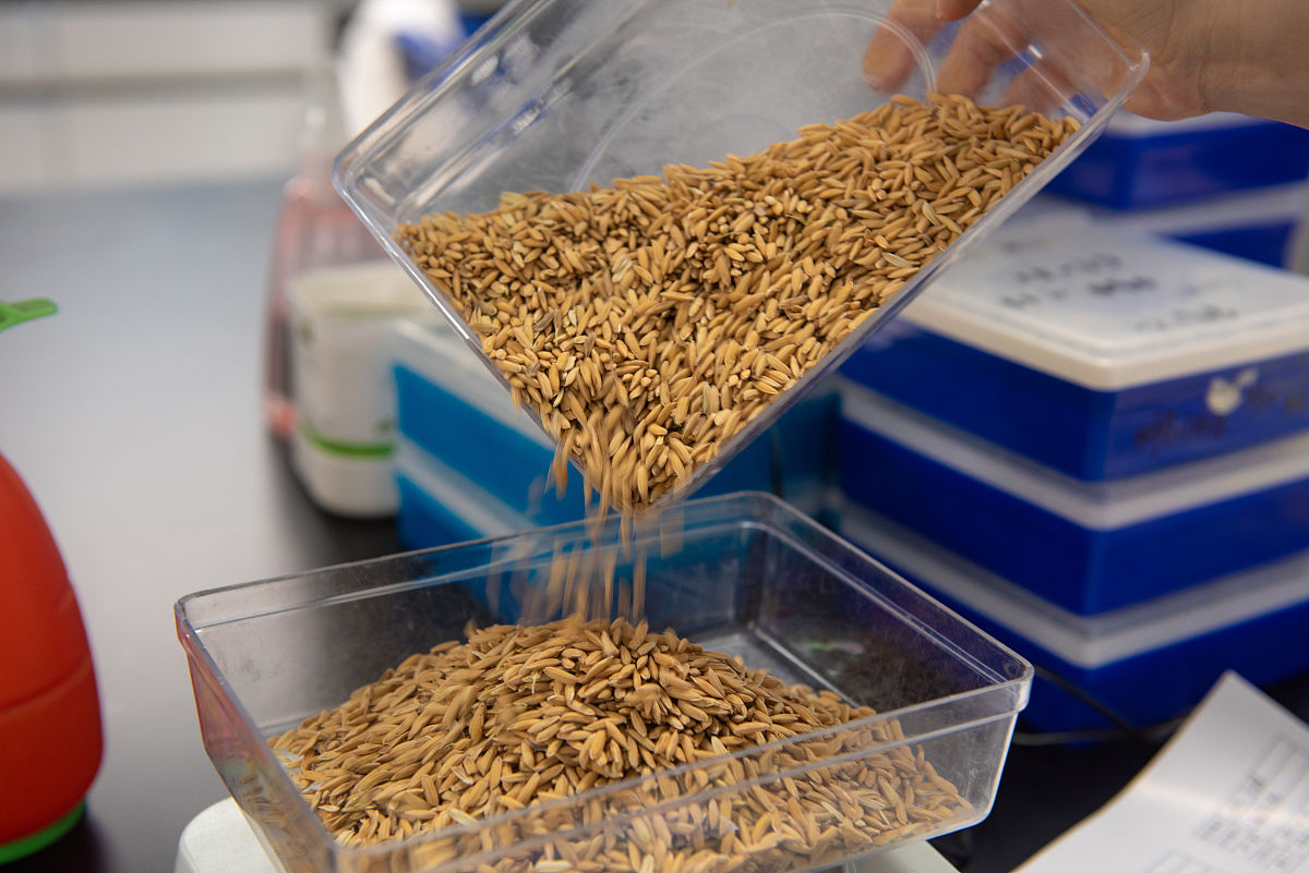 “科克萨拉”焦化厂关闭引发波黑多米诺骨牌效应