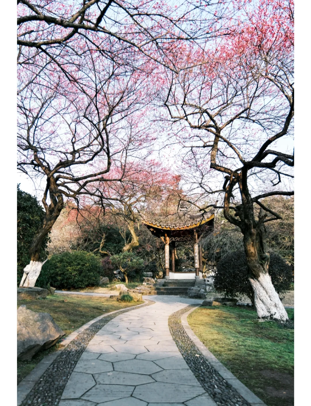 “花神”降临杭州植物园，“春日唤醒”游园会解锁防非反诈新姿势