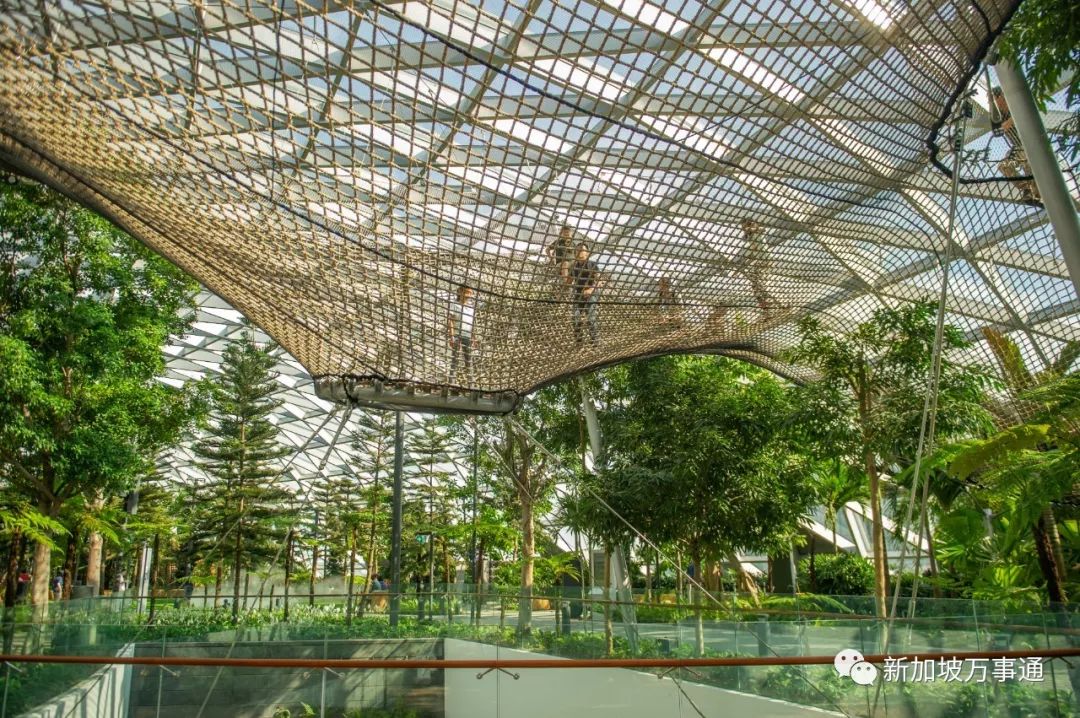 从广州白云机场到新加坡樟宜机场 奥飞新能源助力全球能源绿色智慧转型