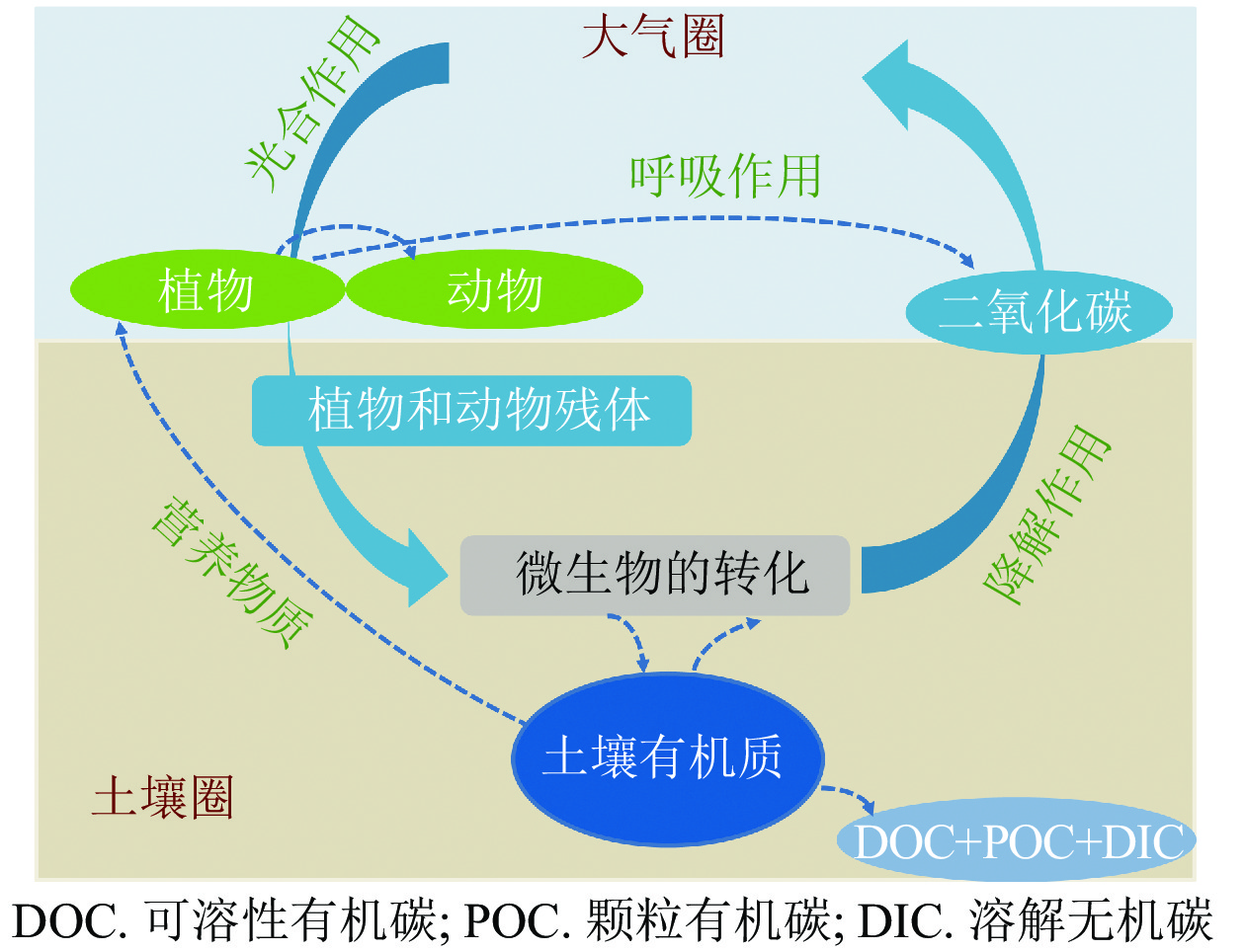 研究发现人造有机化学物质已遍布全球海洋