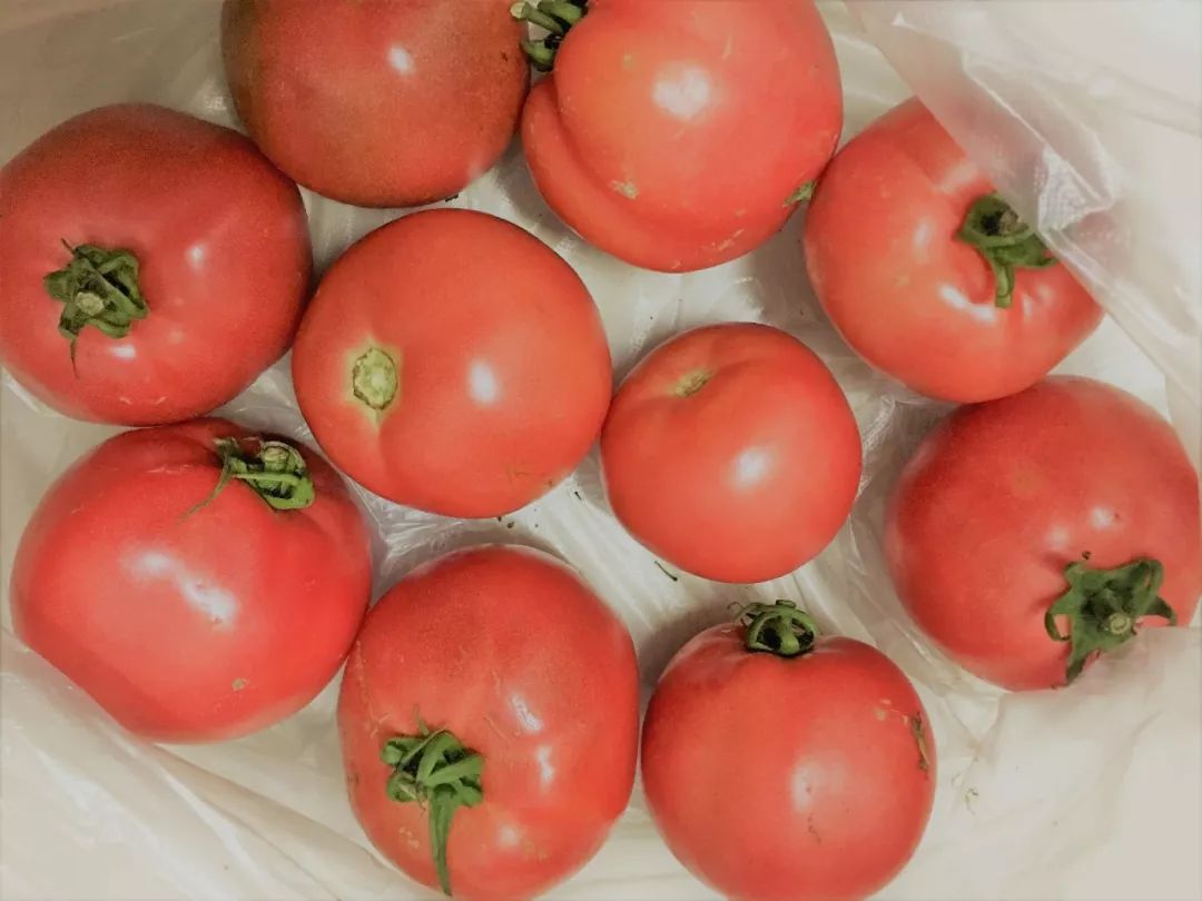 从“田间”直达“舌尖”，韵达“鲜”活乡村产业链