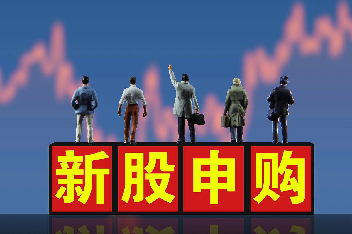 瑞鹄模具:公司向不特定对象发行可转换公司债券事项尚在交易所审核过程中