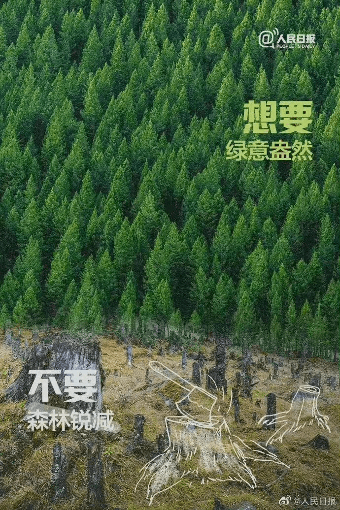 “绿色中东倡议”增加四个新成员