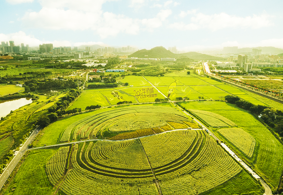 中科三环2025年净利润大增6.6倍，深耕稀土永磁主业谋划纵横发展